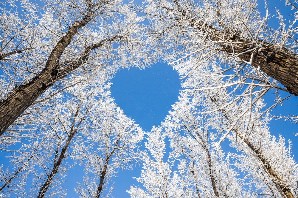 Téli wellness felmelegedés – Ne adj teret a téli depressziónak!